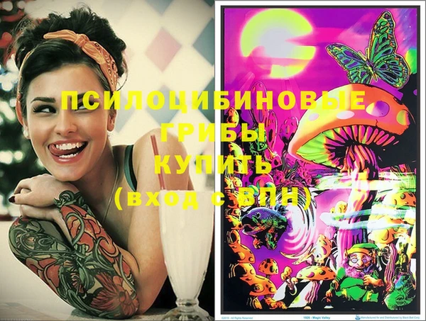 тгк Абаза