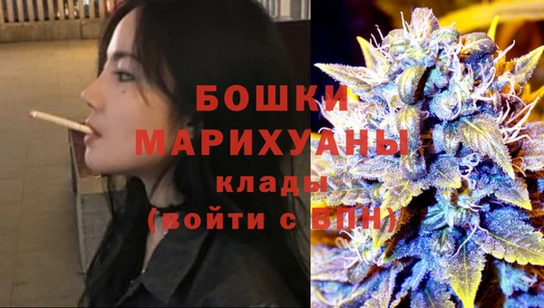 трава Наволоки