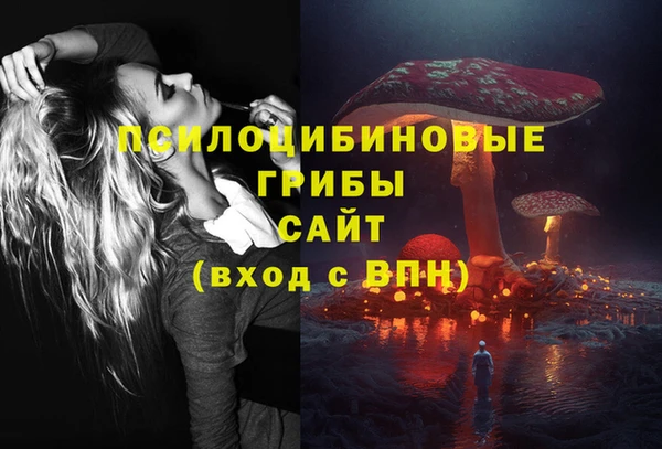 тгк Абаза
