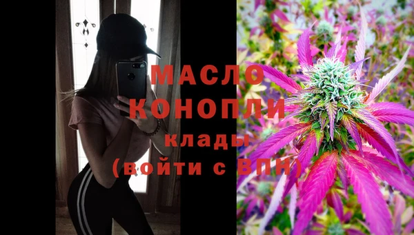 тгк Абаза