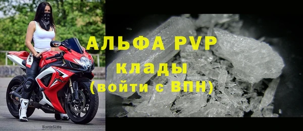 прущие грибы Абдулино